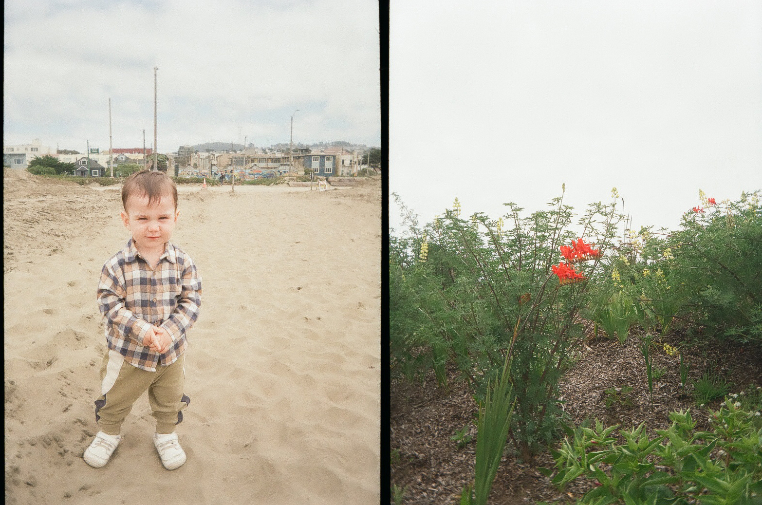 A young child stands on a sandy beach with buildings and poles in the background, while the adjacent frame shows a small patch of greenery with a few red flowers.