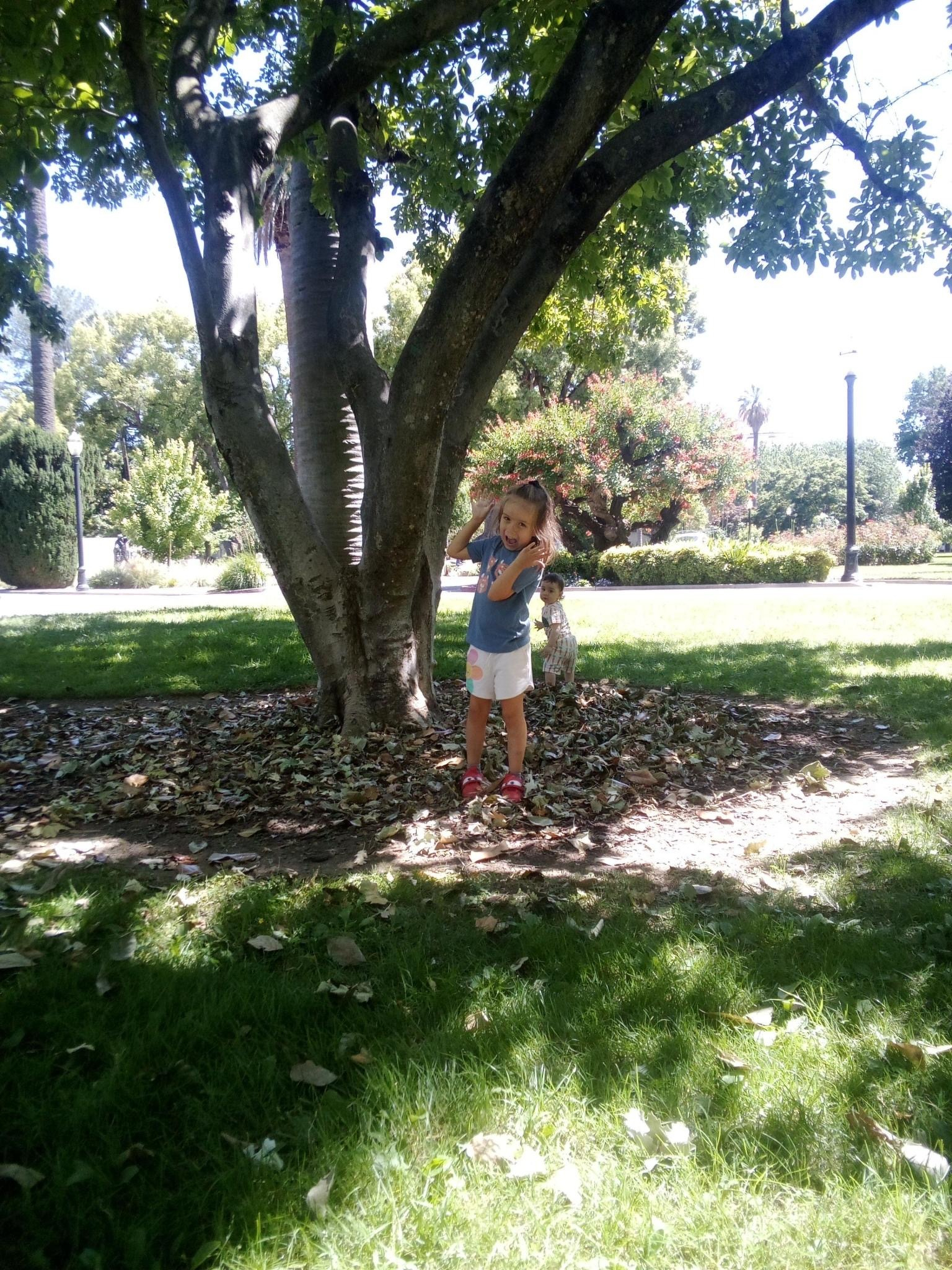 A young child stands under a tree, playing with leaves at a sunlit park.