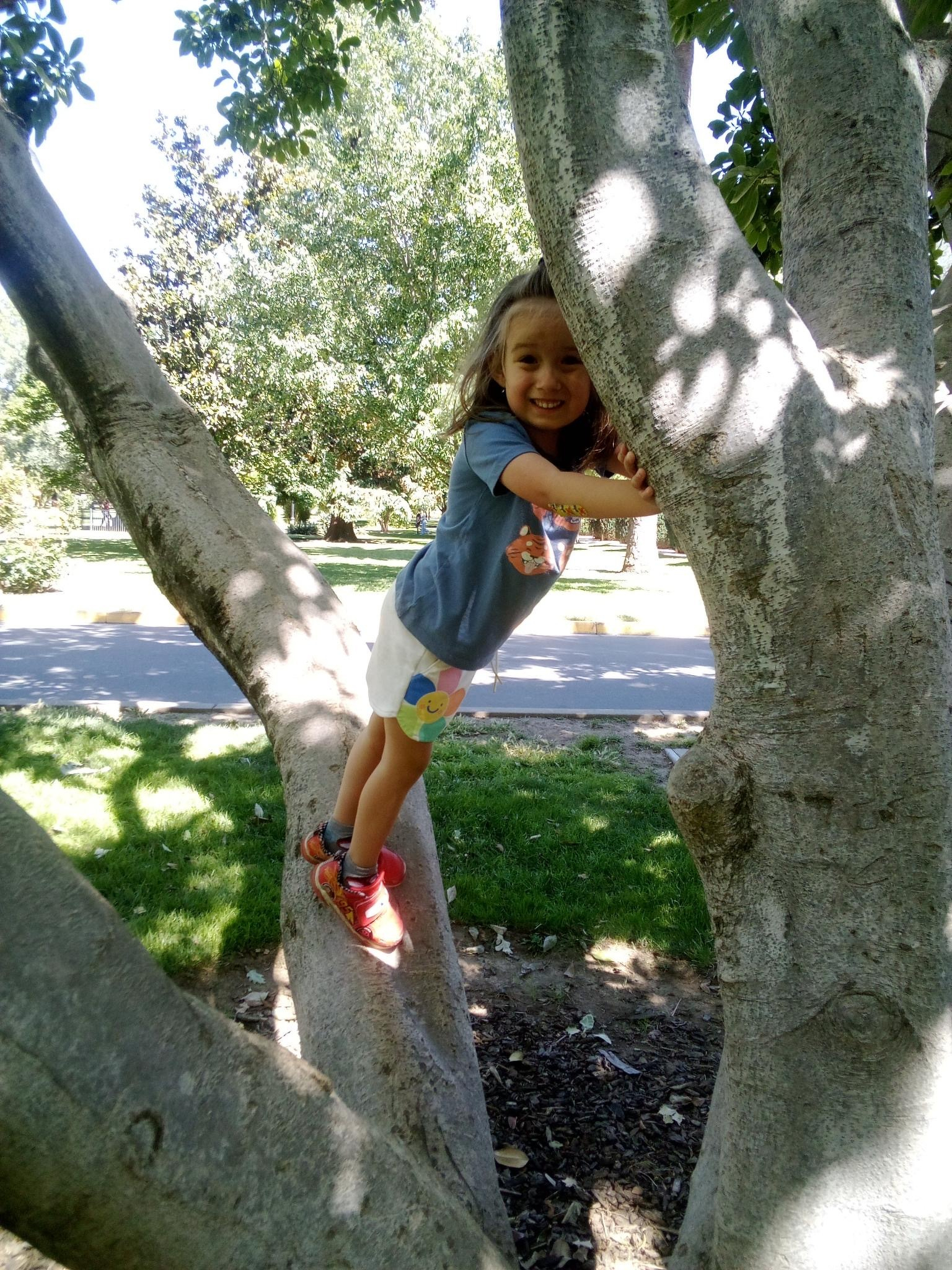 A child joyfully climbs a tree, standing confidently among its branches on a sunny day.