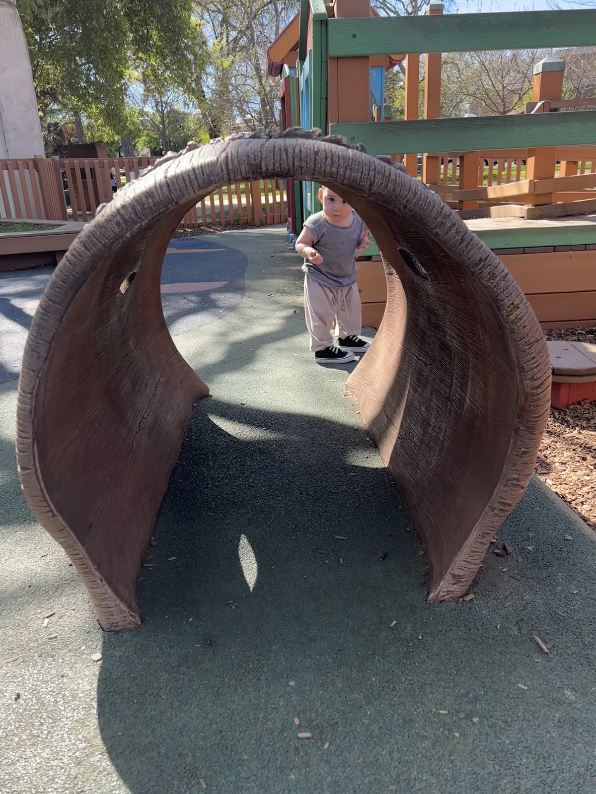 Artie at the park.
