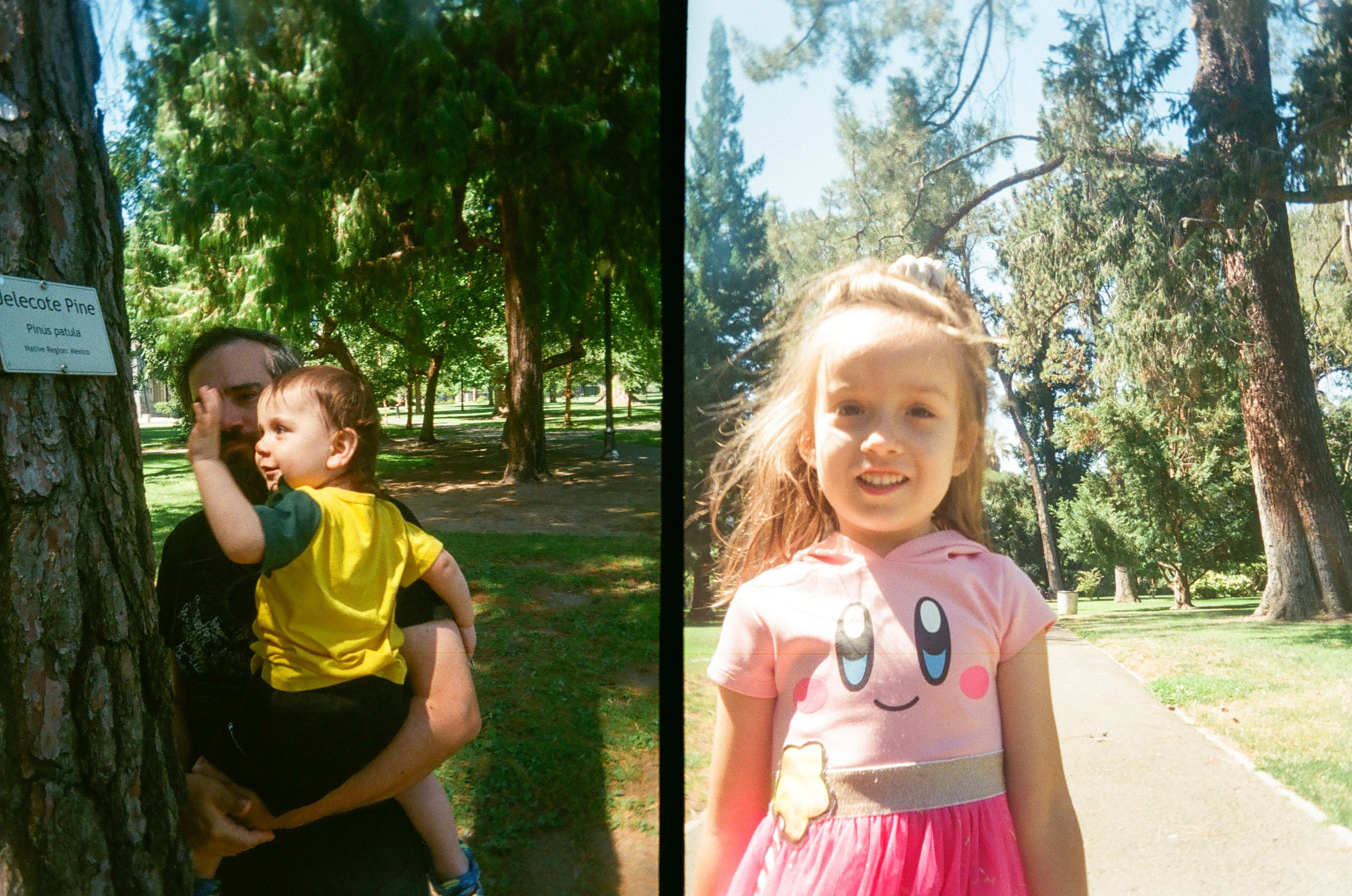 A man holding a young boy near a tree labeled Pine and a smiling girl in a pink dress standing on a sidewalk in a park are shown side by side.